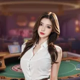 网页版入口